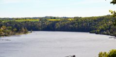 DSC_0433